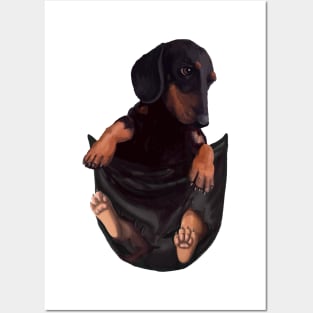 Dachshund In Your Pocket Posters and Art